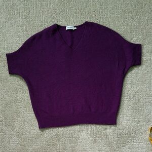 The Reset V-Neck Sweater in Deep Purple